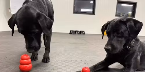 Helgekurs i markering med SBK instrukt\u00f8r Carin Josefsson