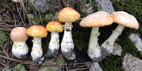 HOMESCHOOL: WATER CHEMISTRY AT BIG CREEK PARK