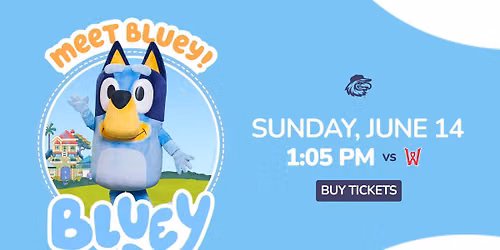 Bluey Appearance