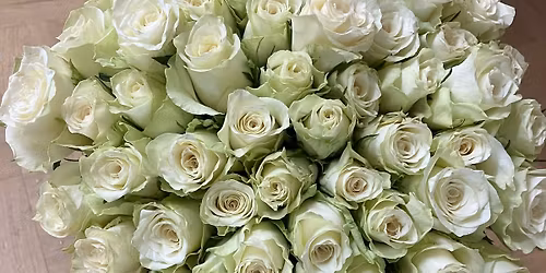 Den Galaxy maminek a d\u011bt\u00ed 