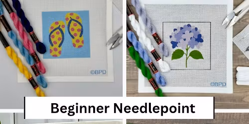 Beginner Needlepoint