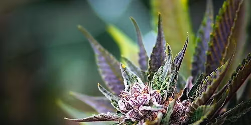 May 11th, 2026 - Functional Forum  (Northern Colorado)