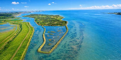 BEGINNERS HIKE 14km Fishing Towns & Nature Reserves of the Thames Estuary