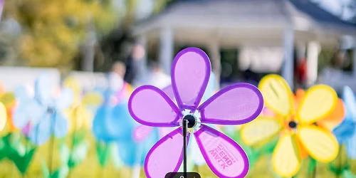 Walk to End Alzheimer's Pocatello 