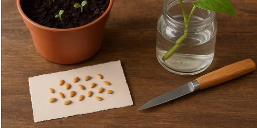 Nov. Monthly meeting - Propagation: Seeds or Cuttings