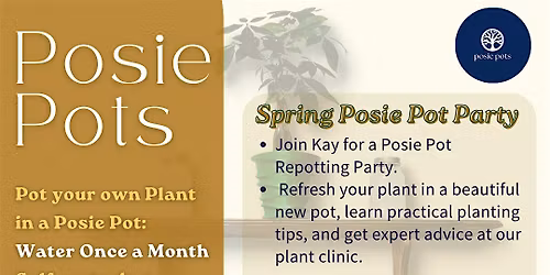 STL: Spring Plant Party with Posie Pot