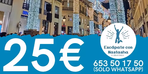 Excursi\u00f3n Luces de M\u00e1laga desde Sevilla
