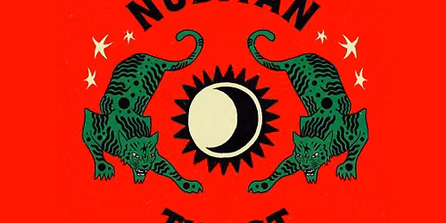 Nubiyan Twist