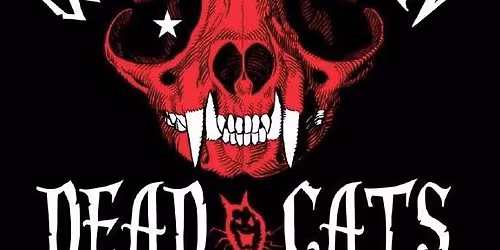 WASHINGTON DEAD CATS