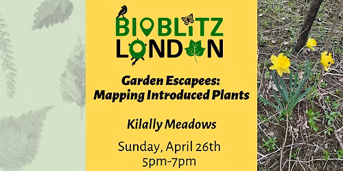 Garden Escapees: Mapping Introduced Horticultural Plants (Guided Walk)