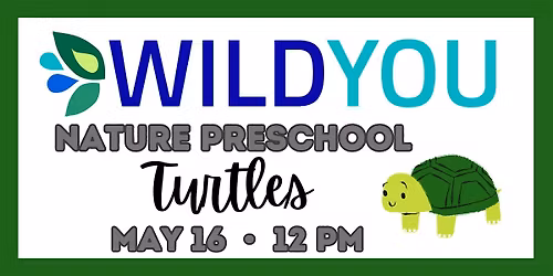 Nature Preschool: Turtles