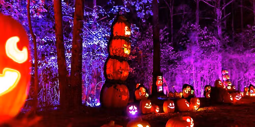 Jack\u2019s Lighted Trail at Eckert\u2019s Belleville Farm