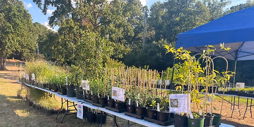 Spring Native Plant Sale