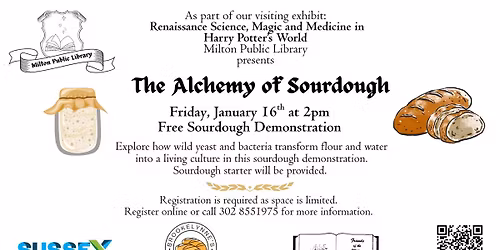 Alchemy of Sourdough - Sourdough demonstration