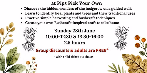 Secrets of the Hedgerow at Pip's Pick Your Own - Family Fun