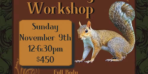 Grey Squirrel Taxidermy Workshops