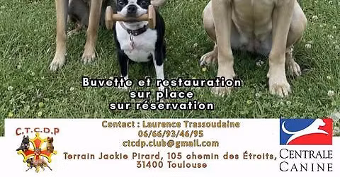 \ud83c\udfc6 CONCOURS D'OB\u00c9ISSANCE \u00c0 TOULOUSE \ud83c\udfc6