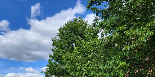 5th Grade Honor Night \ud83d\udc69\ud83c\udffc\u200d\ud83c\udf93\ud83d\udc68\ud83c\udffe\u200d\ud83c\udf93