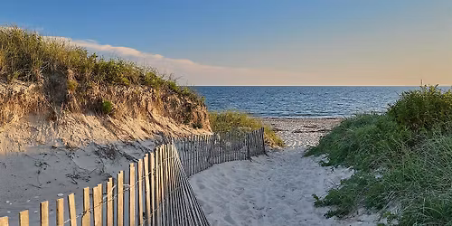 Composition in Photography Workshop