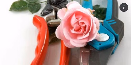 Pruning Demonstrations at Kings Garden Centres