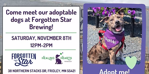 Adoption Event at Forgotten Star Brewing