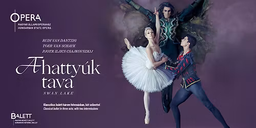 Rudi van Dantzig \u2013 Toer van Schayk \/ Pjotr Iljics Csajkovszkij: A hatty\u00fak tava