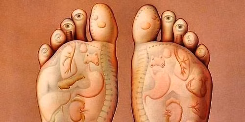 Reflexn\u00ed terapie \u2013 REFLEXOLOGIE