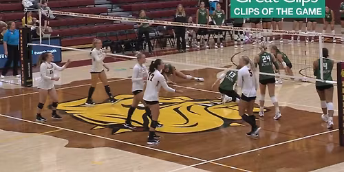 Minnesota Duluth Bulldogs Women's Hockey vs. Bemidji State Beavers
