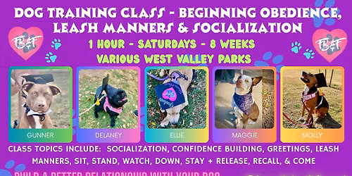 Dog Training Beginner Obedience and Leash Manners Group Class \u2013 8 Weeks - $350