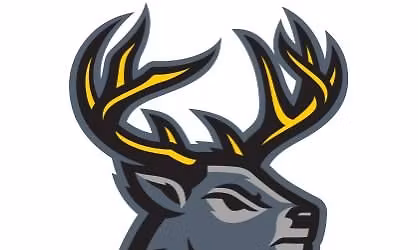 Hoover Heartlanders game