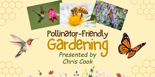 Pollinator-Friendly Gardening