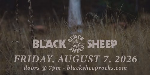 Strung Short: See This Through Record Release Show w\/ A Place For Owls, Pastel Black, & Andromeda