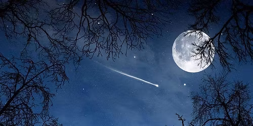 Winter Family Night Hike