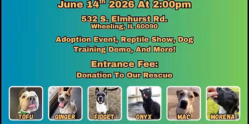 Adoption Event and Reptile Show