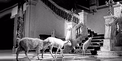 "Exterminating Angel" Film Screening \/ \u03a0\u03c1\u03bf\u03b2\u03bf\u03bb\u03ae \u03a4\u03b1\u03b9\u03bd\u03af\u03b1\u03c2 "\u0395\u03be\u03bf\u03bb\u03bf\u03b8\u03c1\u03b5\u03c5\u03c4\u03ae\u03c2 \u0386\u03b3\u03b3\u03b5\u03bb\u03bf\u03c2"