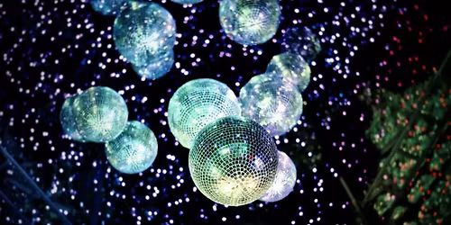 FOWS Village Christmas Party