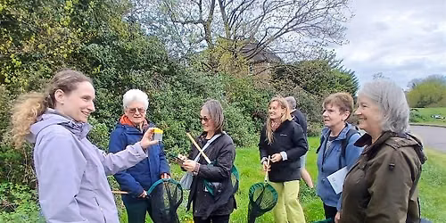 Blackheath (Lewisham) BeeWalk & Wildflower Survey - July