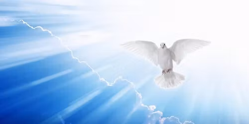 Fall Equinox Vortex: A Divine Light Experience  |  In-person