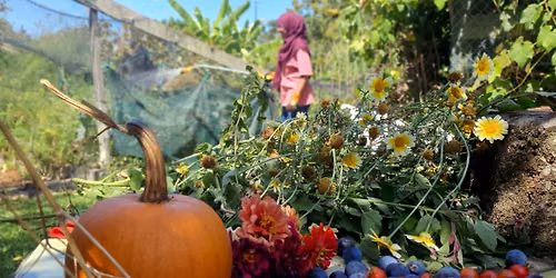 Creating A Resilient Community Garden
