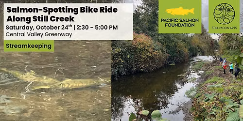 Salmon-Spotting Bike Ride Along Still Creek