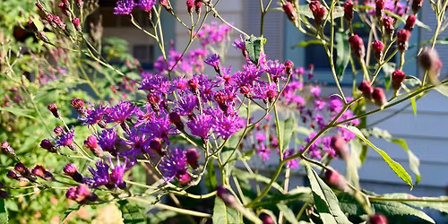 Paragon\u2019s Plant Lab: Dirt Therapy Session