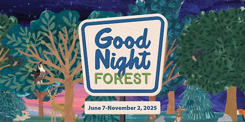 Good Night Forest