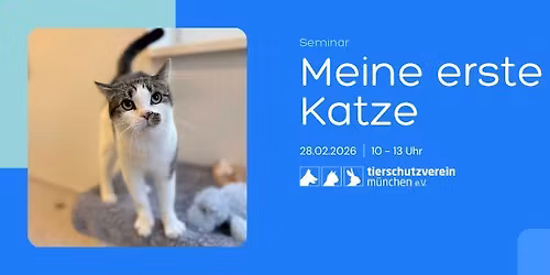 Seminar: Meine erste Katze 