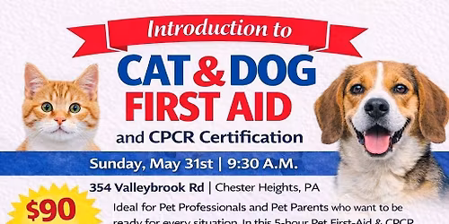Cat & Dog First Aid & CPCR Certification