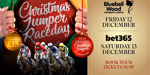 Bluebell Wood Christmas Jumper Raceday
