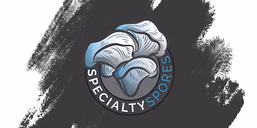 St. Paul Farmers Market