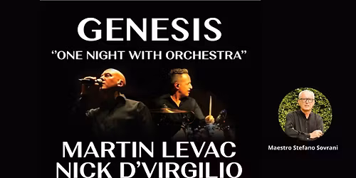 One Night With The Orchestra | ROMA