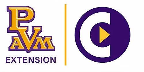 SMALL BUSINESS SERIES: GET INTO GOV CONTRACTS