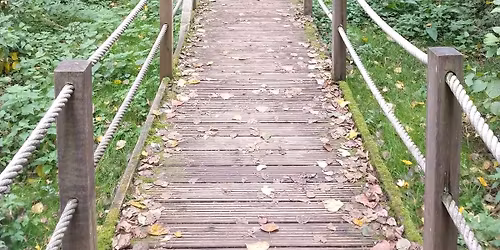 Wandeling \u201cVerlies v\u00f3\u00f3r volwassenheid\u201d