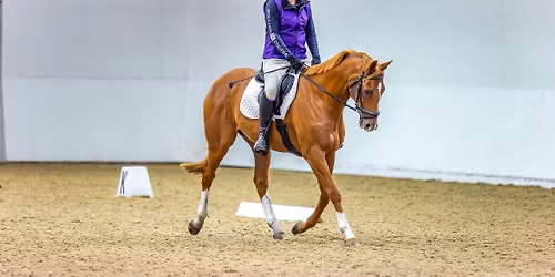 Dressage Pick Your Own Time Winter Series DOUBLE POINTS 